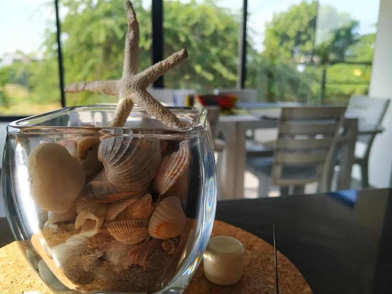 Villa Tu Paraiso En Santa Marta Casa Con Piscina Privada Ideal Para Grupos